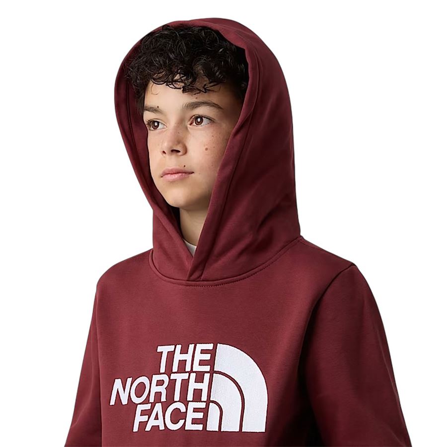  The North Face | NF0A8EHH0VO